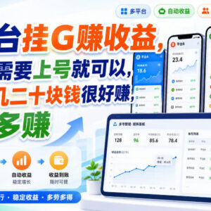 多平台全自动挂机赚收益项目解析 单账号单日可赚十余到二十元-雨叶虚拟资源网