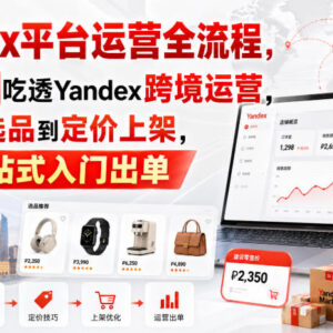 Yandex跨境运营全流程教程 零基础从开店选品到出单实操指南-雨叶虚拟资源网