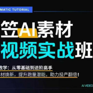 AI视频素材实战班0-1系统教学 爆改素材提升跑量投产能力-雨叶虚拟资源网