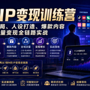 2026超级IP变现训练营 从人设打造到全域变现全链路实操课-雨叶虚拟资源网