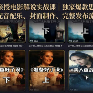 500W粉博主亲授电影解说实战课 零基础全流程AI辅助起号教学-雨叶虚拟资源网