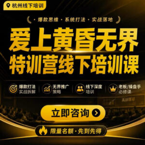 爱上黄昏7月杭州无界特训营 AI落地淘宝天猫推广实操课介绍-雨叶虚拟资源网