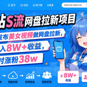 B站美女视频网盘拉新项目玩法解析 单账号收益超8万涨粉38万-雨叶虚拟资源网