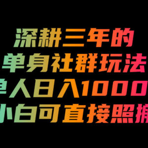 深耕三年单身社群掘金玩法全拆解 零基础小白可直接照搬操作-雨叶虚拟资源网