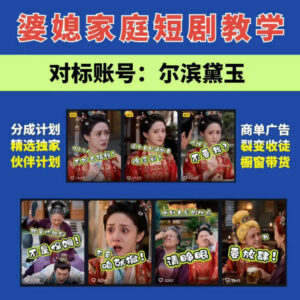 婆媳家庭AI短剧全套教程 零基础起号多路径变现实操教学-雨叶虚拟资源网