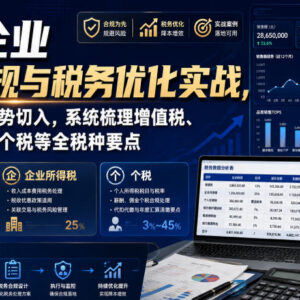 电商企业财务合规与税务优化实战 全税种要点及实操方法详解-雨叶虚拟资源网