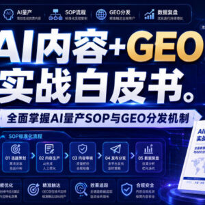 AI内容+GEO实战白皮书解读 掌握AI量产SOP与GEO分发机制-雨叶虚拟资源网