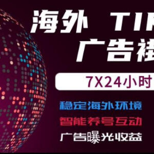 海外TikTok挂G流量变现项目解析 7×24自动运行广告收益日结-雨叶虚拟资源网