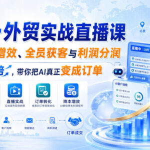AI+外贸实战直播课干货分享 全链路实操教你用AI获客提效拿订单-雨叶虚拟资源网