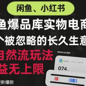 闲鱼小红书实物电商纯自然流玩法 可长期运营的增收项目解析-雨叶虚拟资源网